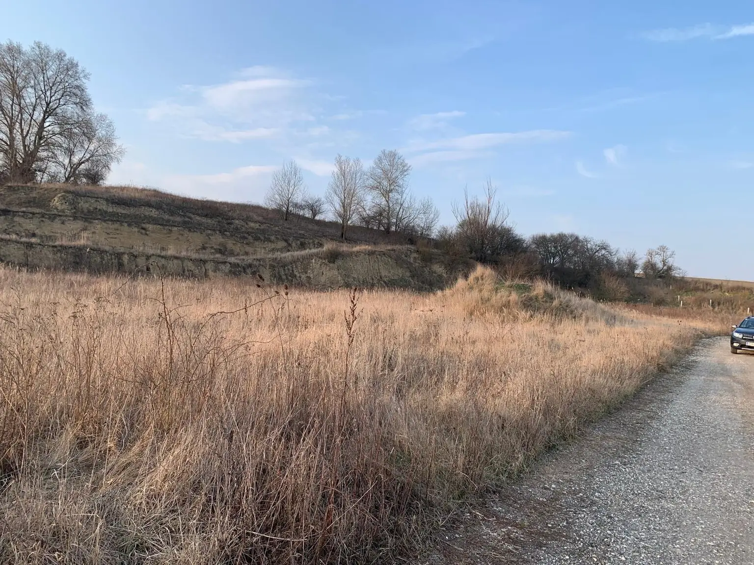 INDUSTRIEGRUNDSTÜCK - 40 Minuten vor Wien