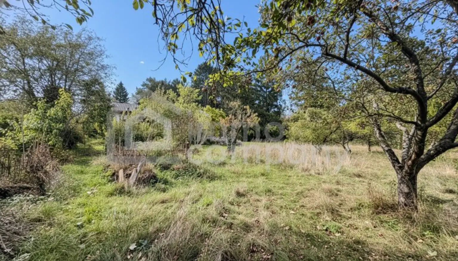 🌿 Wunderschönes Grundstück in bester Lage – vielseitig bebaubar mit zwei Wohneinheiten