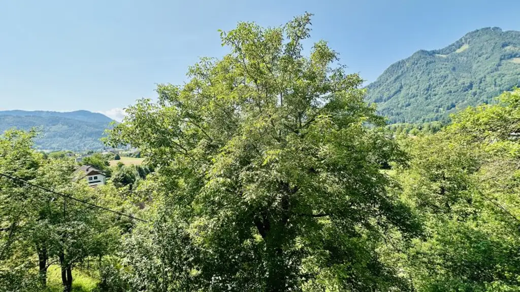 Besichtigungstag am 19.09.2025 !! Traumhaftes Einfamilienhaus mit Bergblick