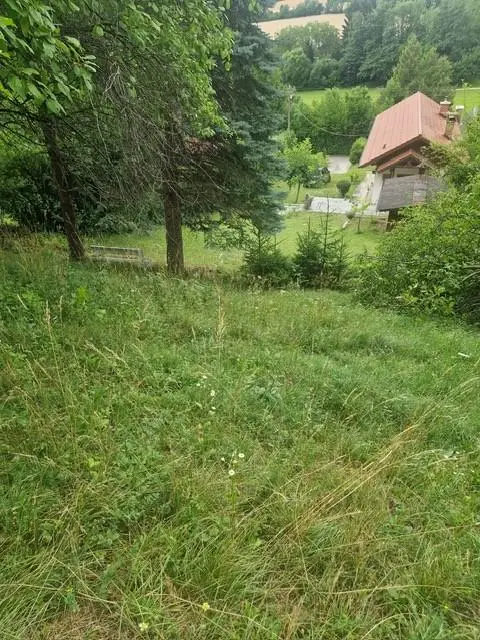 Ihre Liegenschaft mit soviel Wald! Errichten Sie hier Ihr Traumhaus!