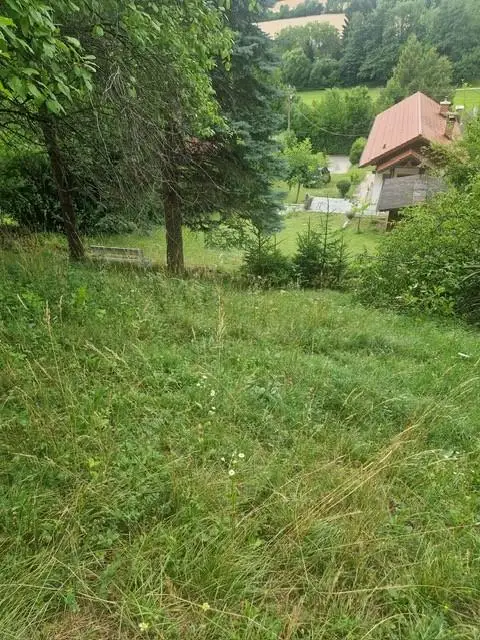 Ihre Liegenschaft mit soviel Wald! Errichten Sie hier Ihr Traumhaus!
