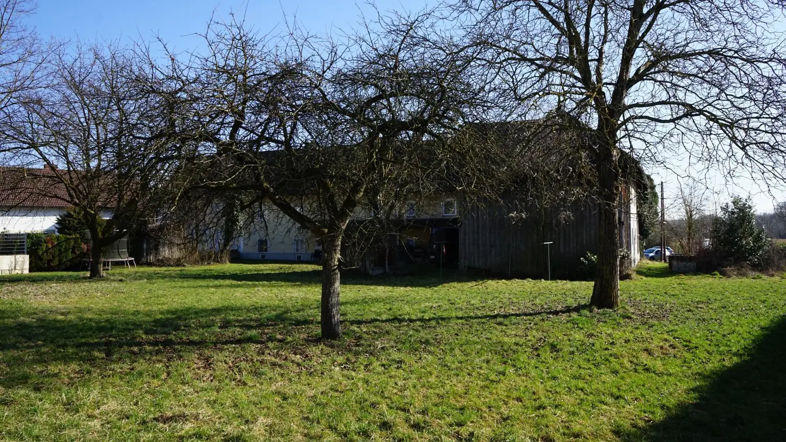 DSC06450
