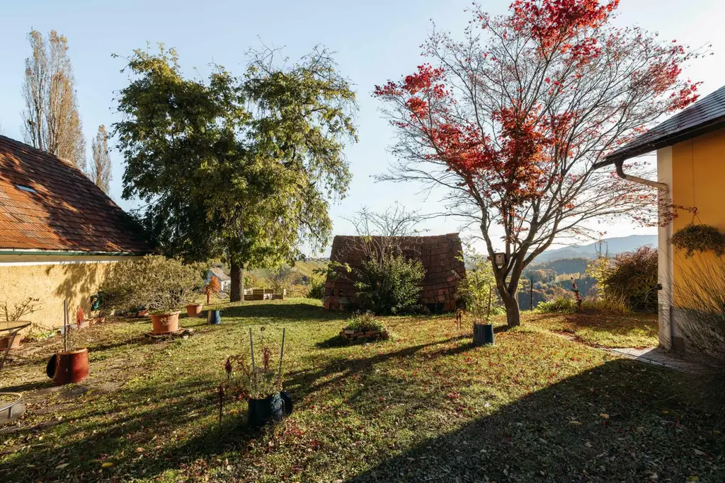 Buschenschank/Heuriger Eory zum Traubenkogel zu verkaufen!