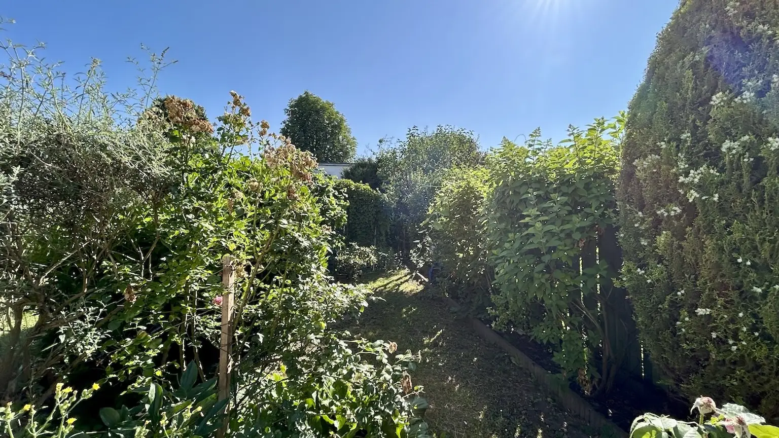 Garten