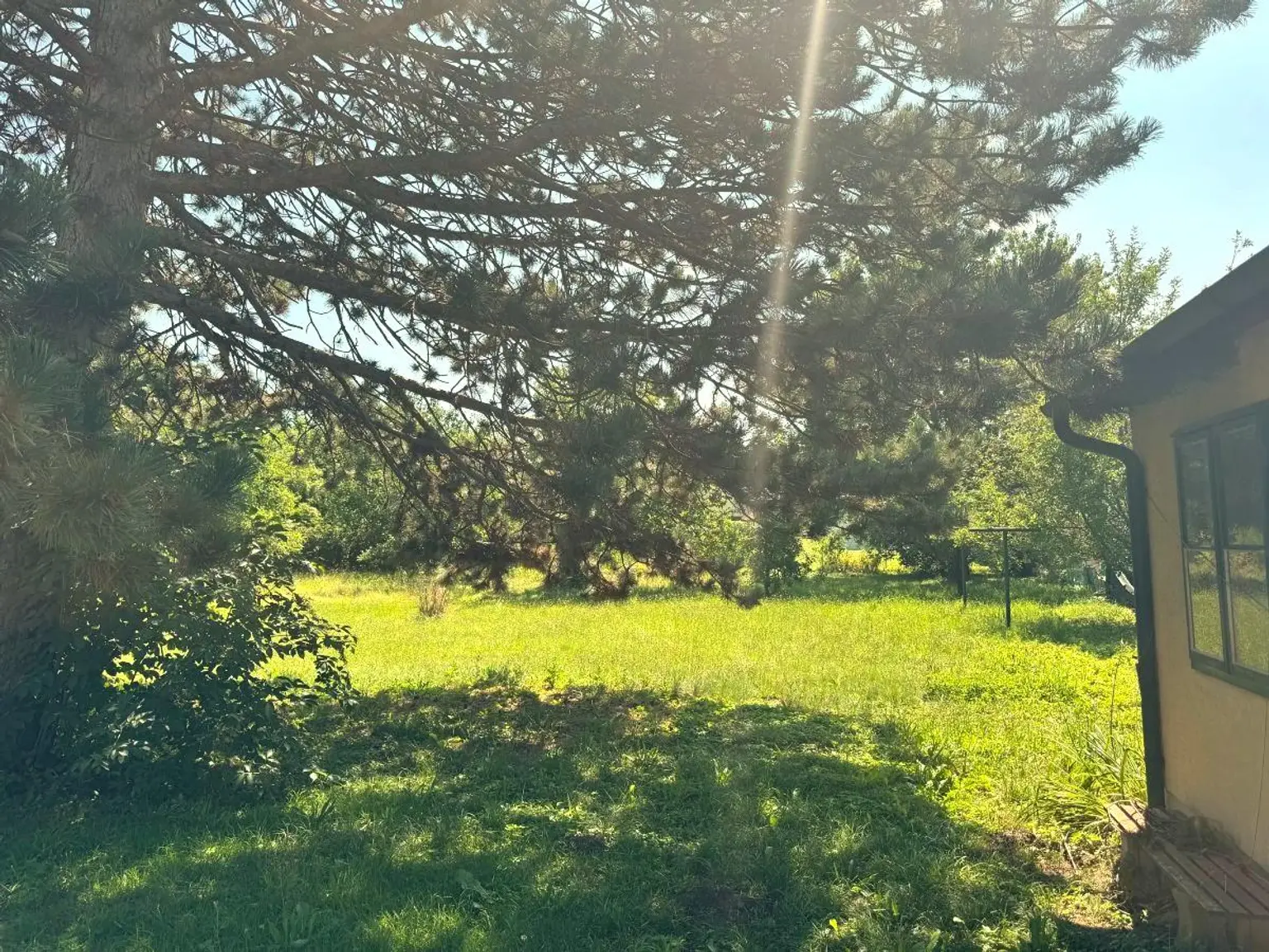 "Einfamilienhaus mit 2535m² großem Grundstück!"