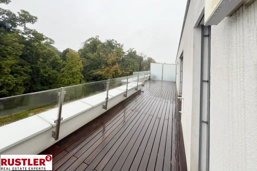 Geräumige 3 Zimmerwohnung mit großzügigen Terrassen!