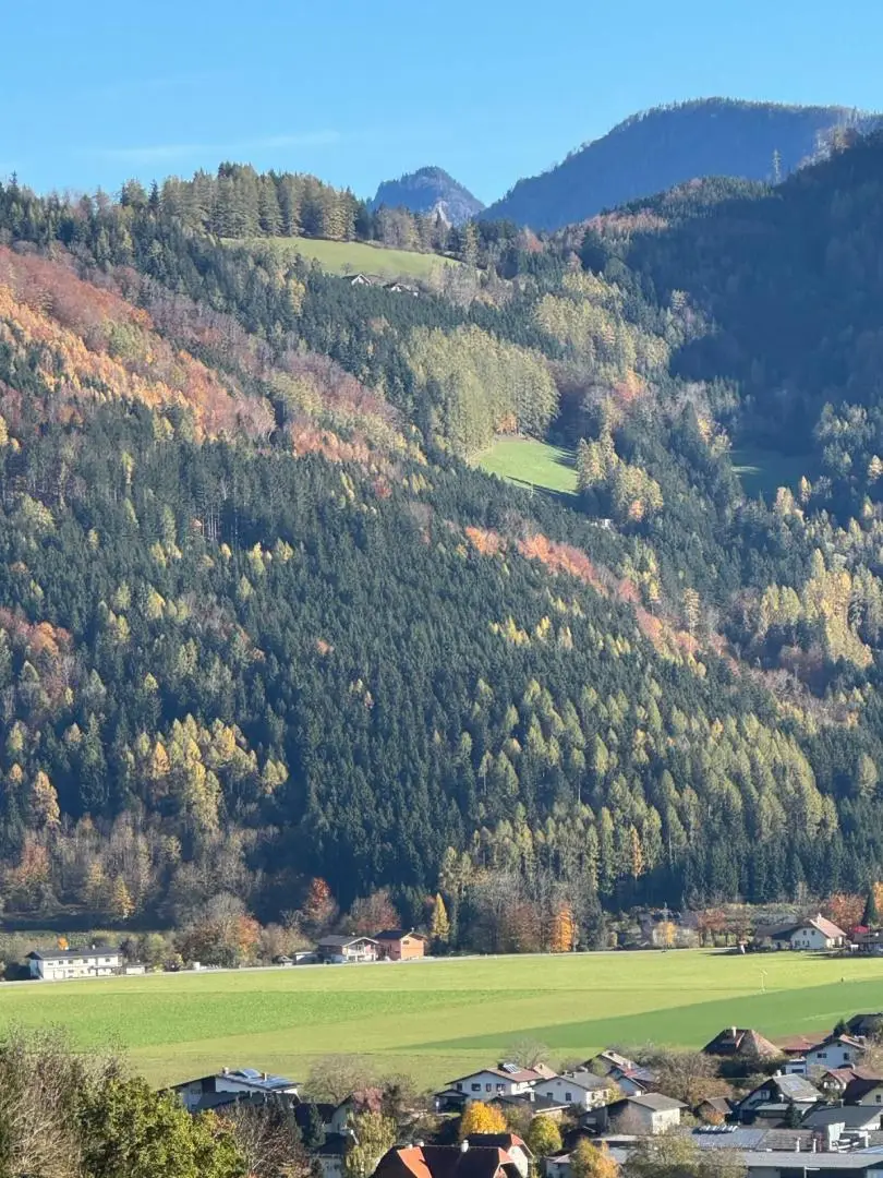 am Berg auf einer großen Lichtung alleine WOHNEN