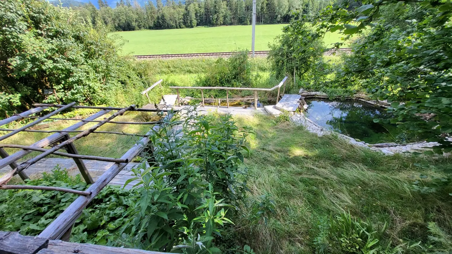 Stark sanierungsbedürftige Liegenschaft in sonniger Lage!