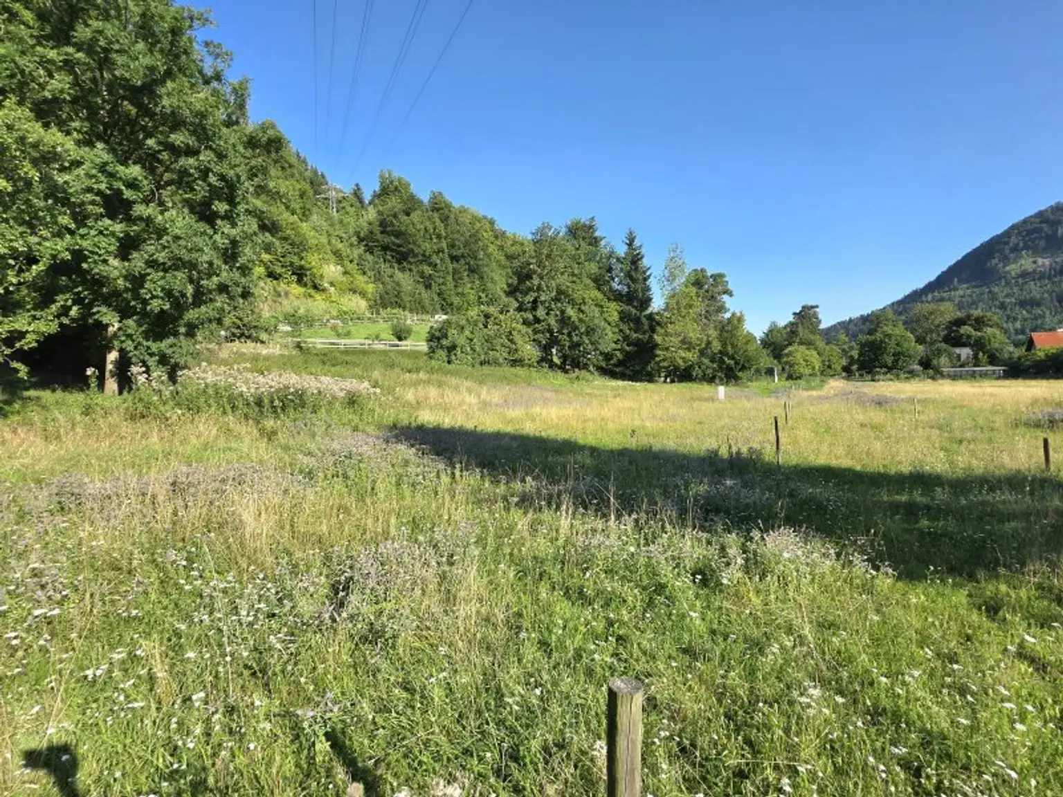 Sonniges Wohnerlebnis mit schöner Aussicht!