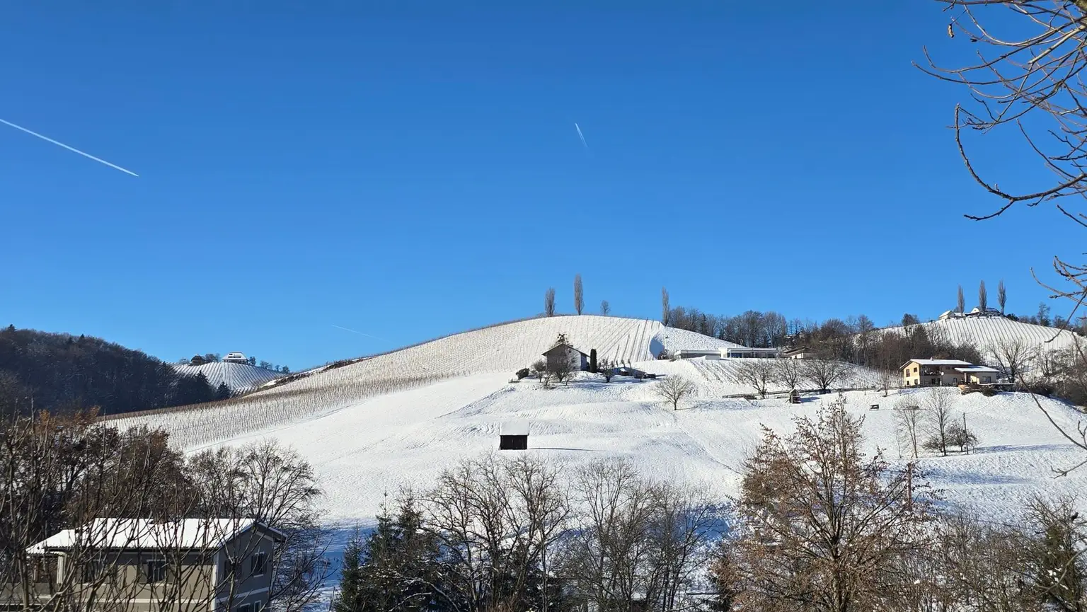 Ausblick vom Garten im Winter