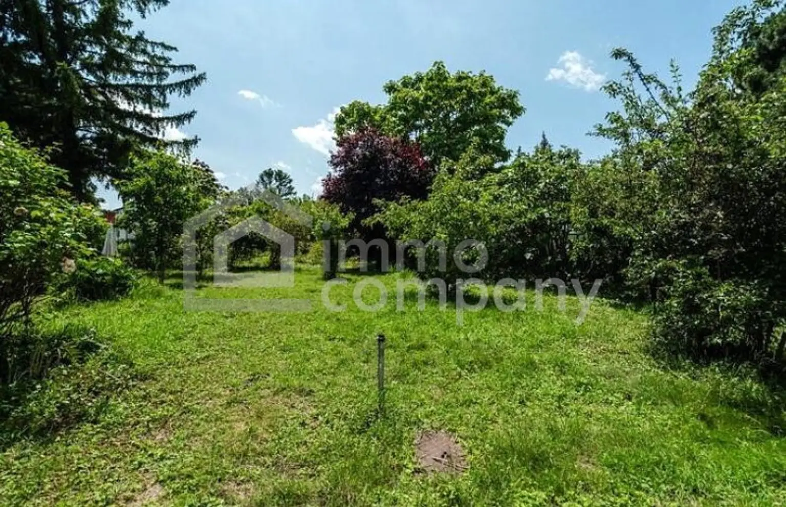 Einzigartiges Grundstück mit Einfamilienhaus und Ausbaupotenzial