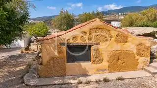 Los Blanquitos 1