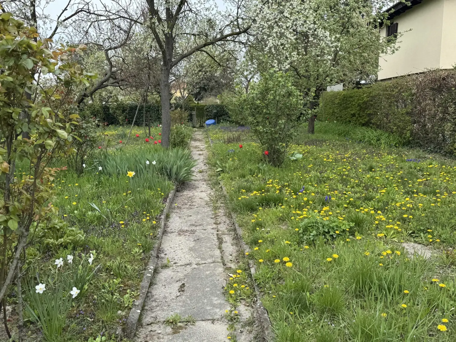 04. Kleingartengrundstück 2100 Korneuburg