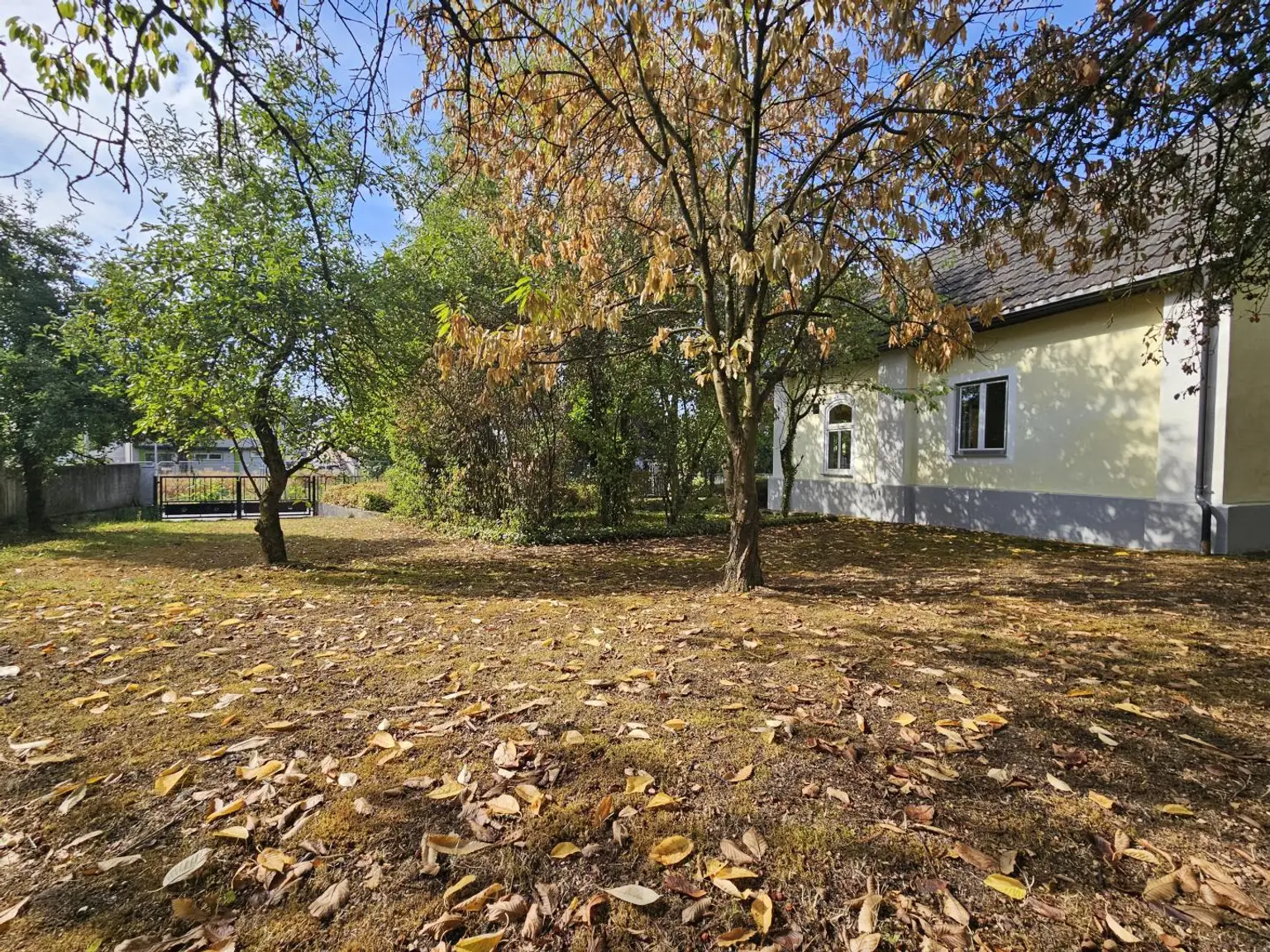 Garten mit Gästehaus
