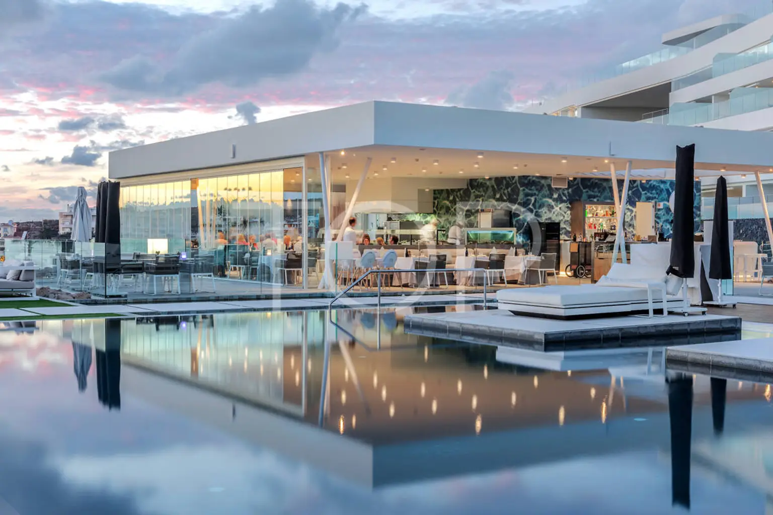 Starfish Night 003 2048