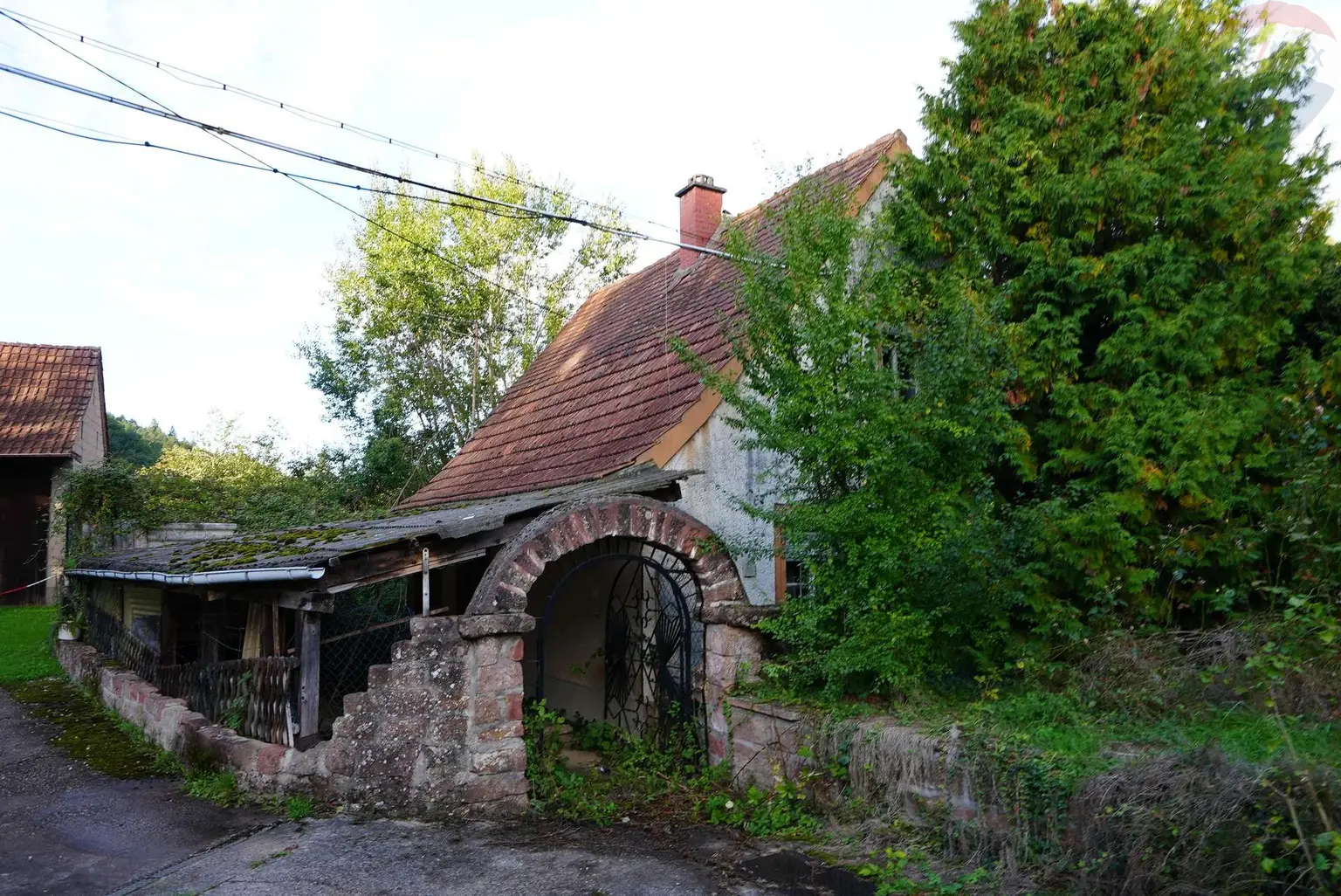 DSC05992