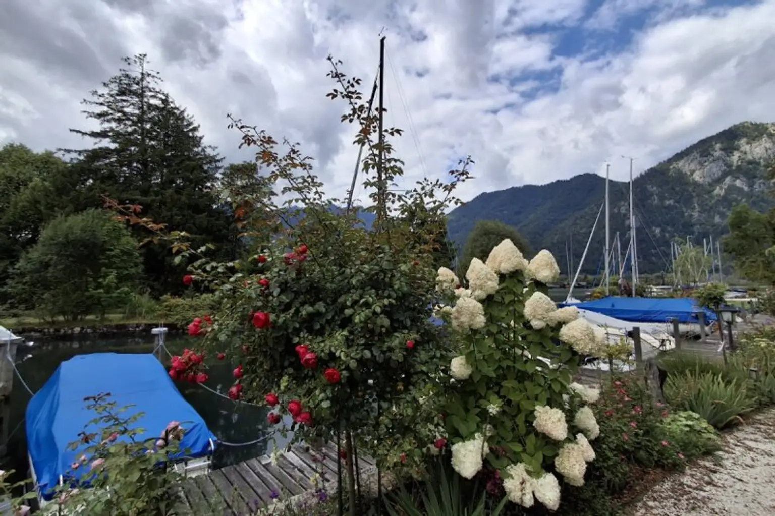 Wohnen im Paradies