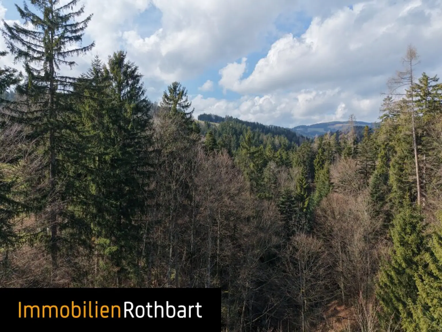 Wald mit Wiese und Zinshaus!