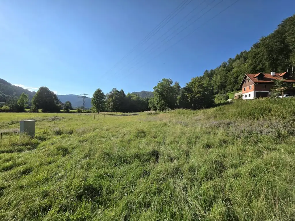Sonniges Wohnerlebnis mit schöner Aussicht!