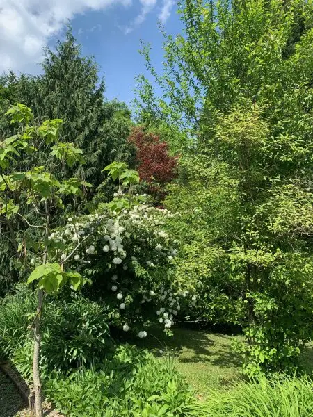 Landhaus in Alleinlage