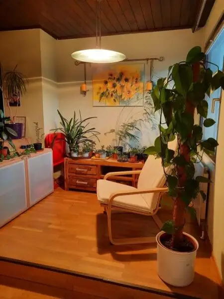 Verlieben sie sich in diese  ansprechende Immobilie in Bestlage  mit Grünblick