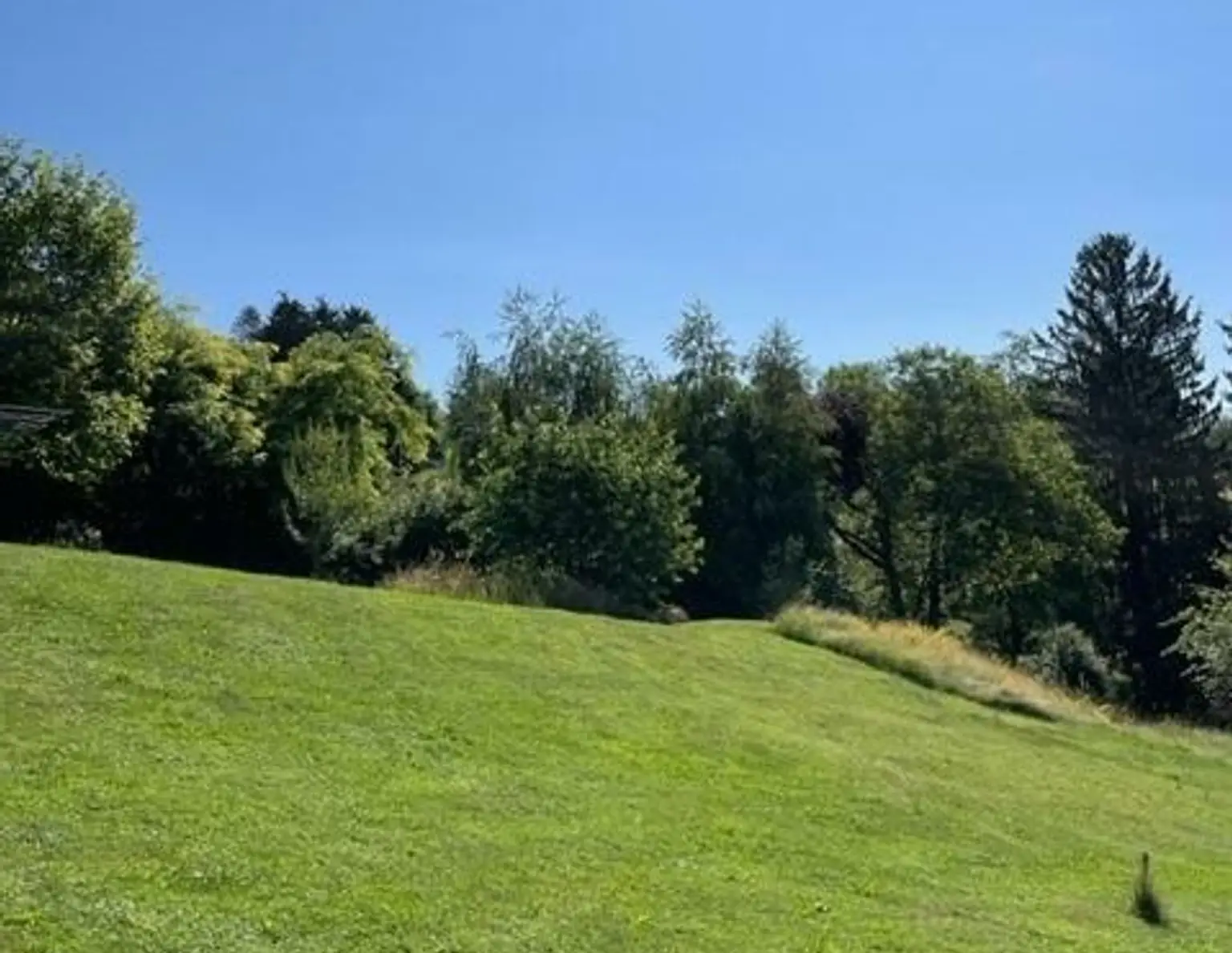 Baugrund in sonniger harmonischer Hanglage