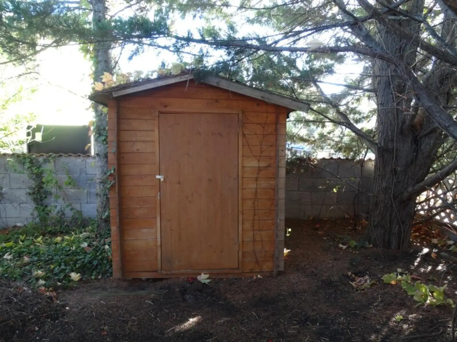BUNGALOW INMITTEN DER VEGETATION IN RUHELAGE