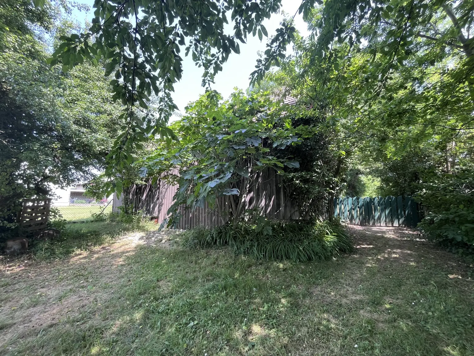 Grundstück mit Altbestand