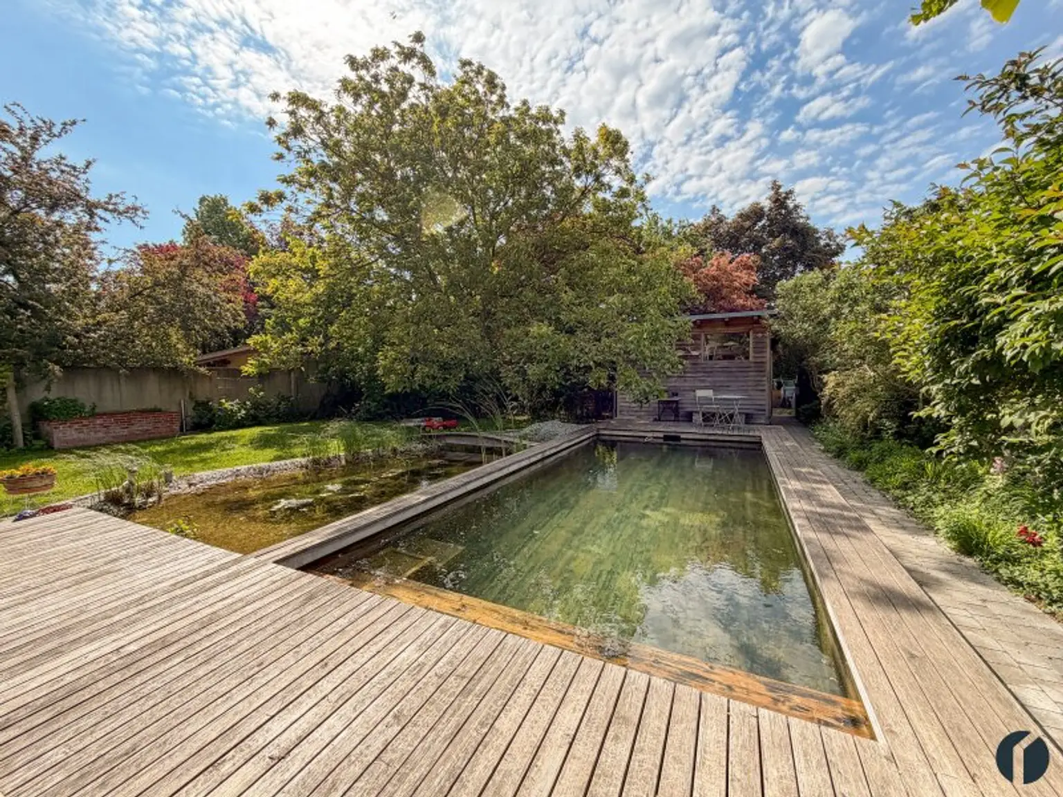 Naturpool und Teich