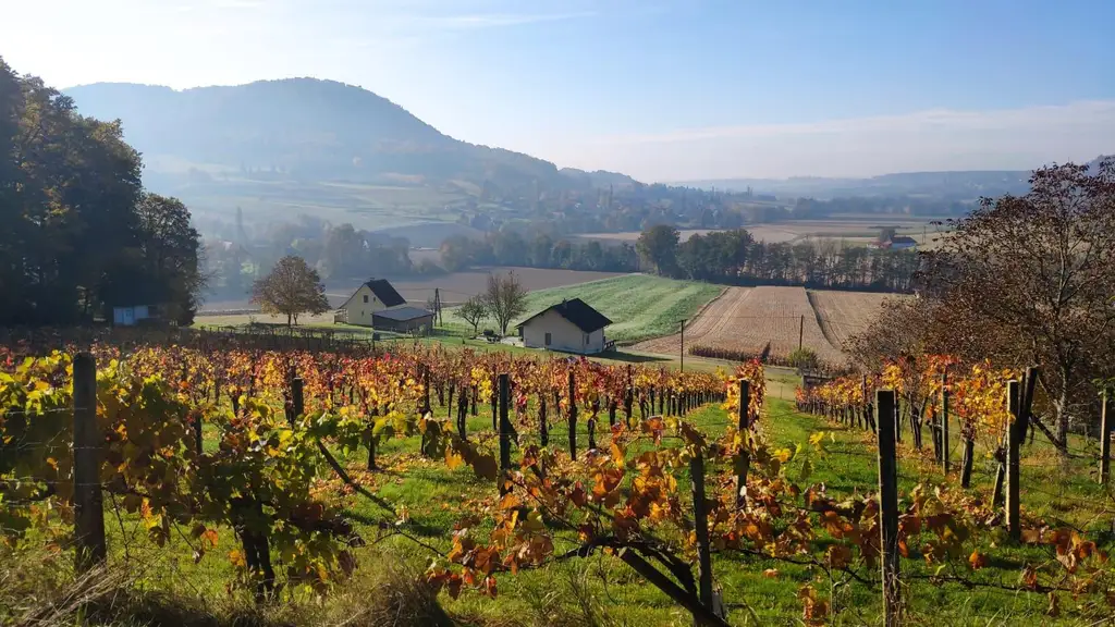 Aussicht: unglaublich - Lage: perfekt
