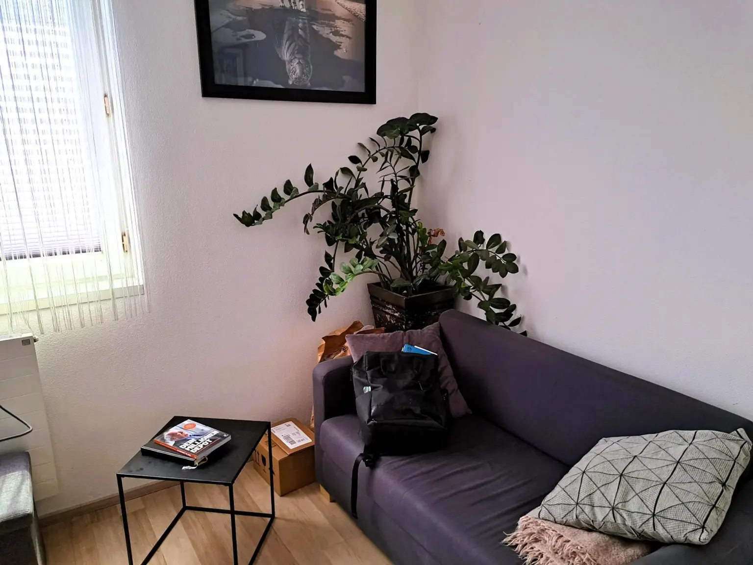 Wohnjuwel mit 2 Wohnungen (ca. 290 m² Wfl.), 2 Terrassen, Gartenareal mit Pool & Poolhaus - Neuzeug