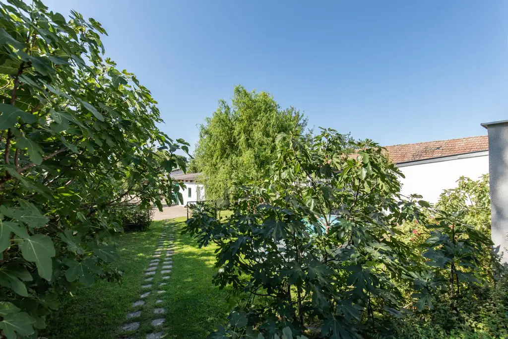 Vielseitiges Anwesen mit Wohn- und Geschäftshaus, Nebengebäuden & Garten