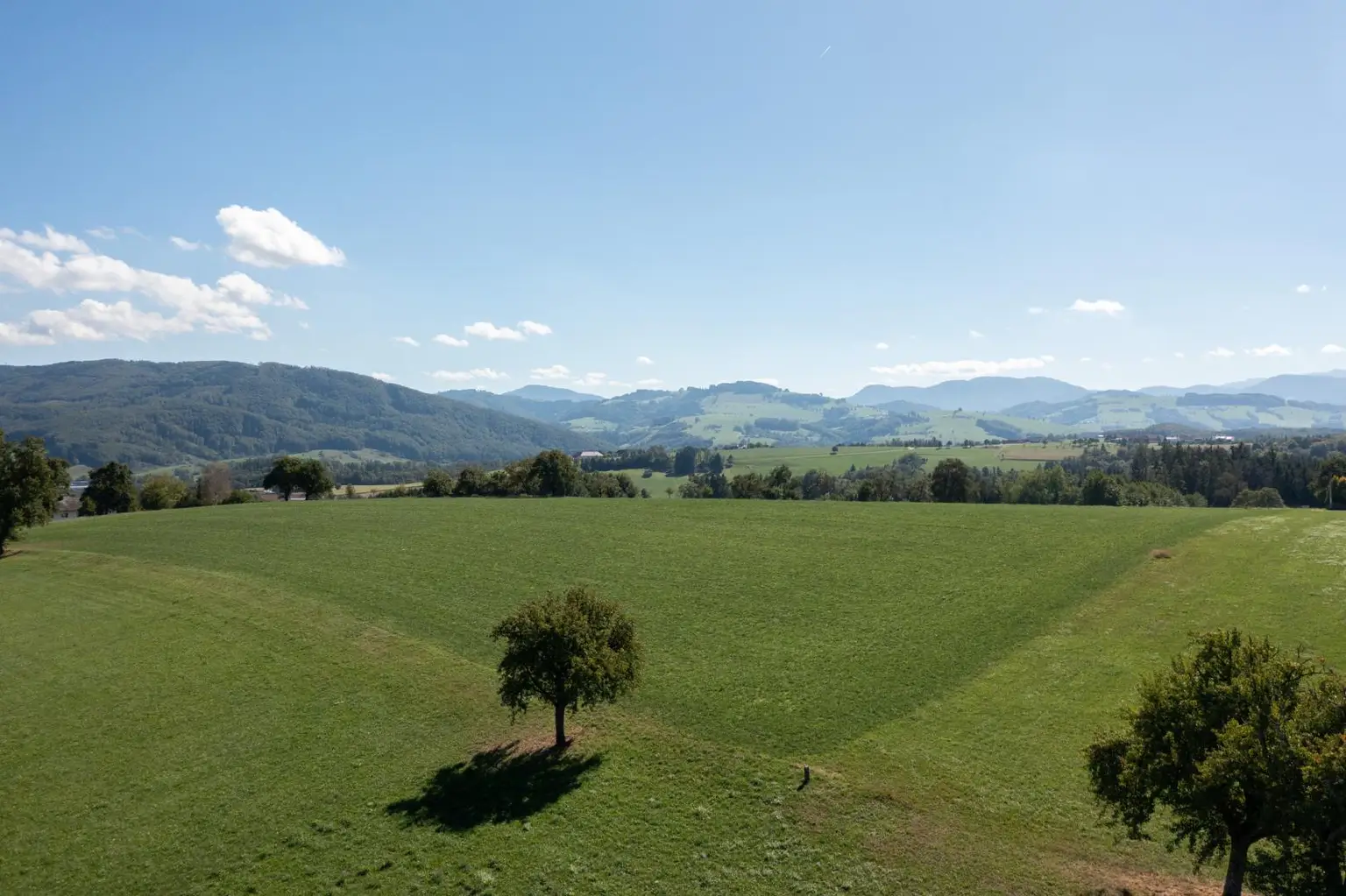 Ausblick