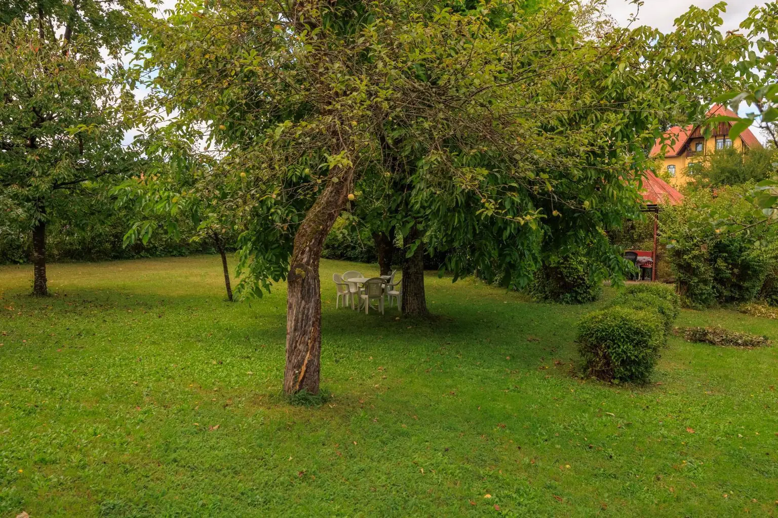 Garten für Neubau