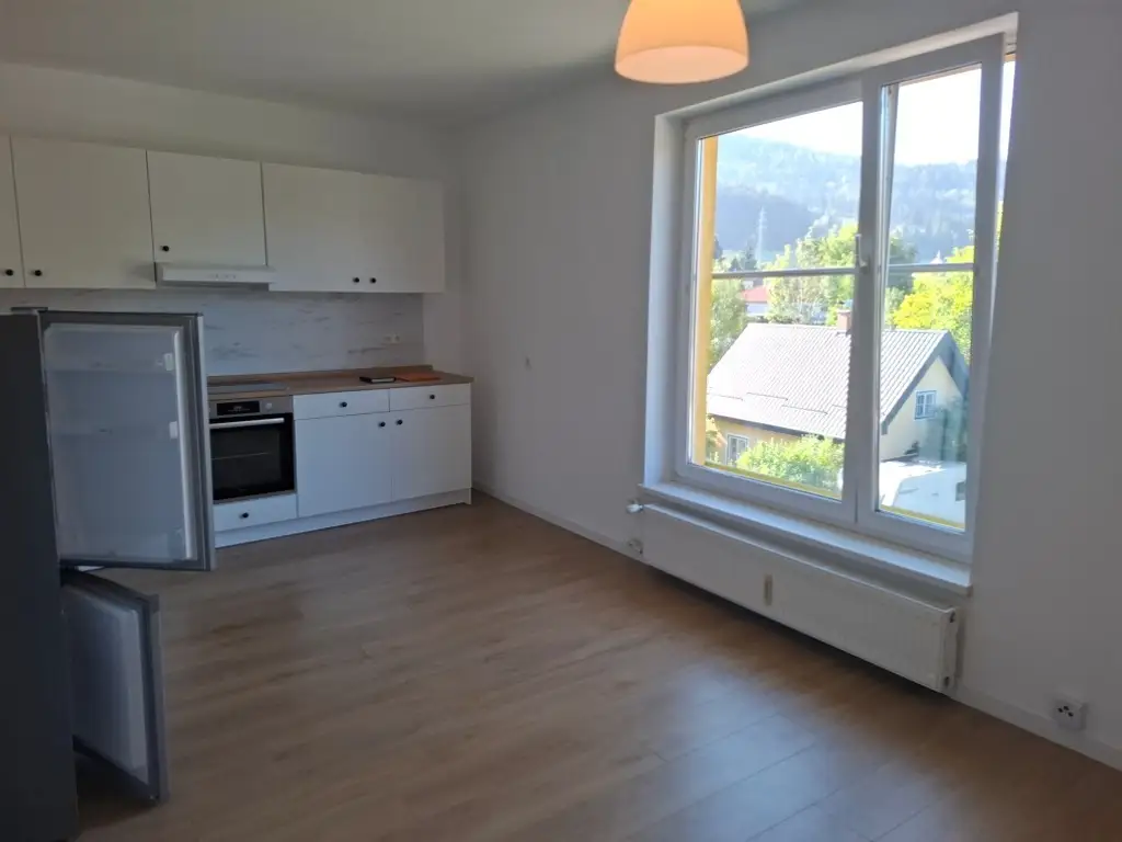 Preissenkung: Renovierte 2-Zimmer-Wohnung mit neuwertigem Küchenblock in Langenwang im Mürztal zu mieten !