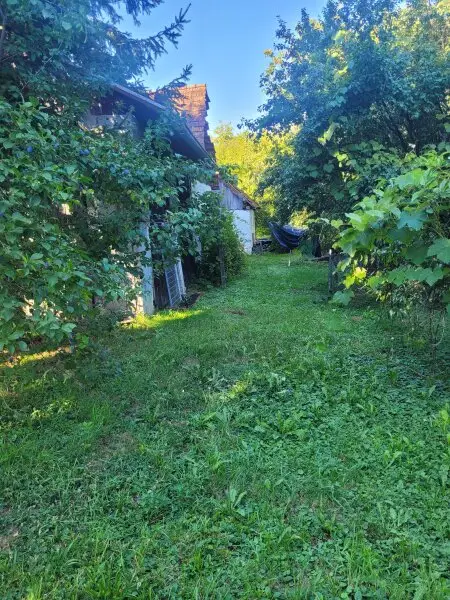 Ruhiges Bauernsacherl nähe Güssing