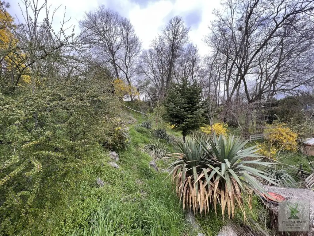 Einzigartiges Liebhaberobjekt mit toskanischem Flair, riesigem Garten, herrlichem Wintergarten, in Prottes - 35 Min von Wien - 8 Minuten von Gänserndorf