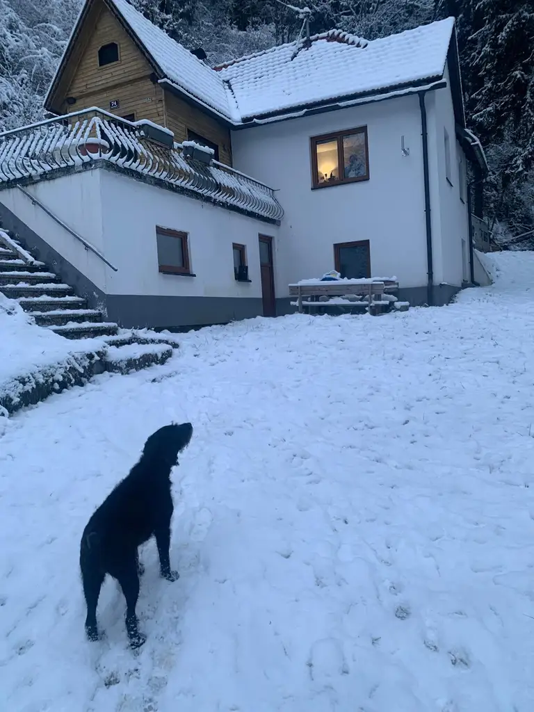 Hexenhäuschen einzigartig für Naturliebhaber!