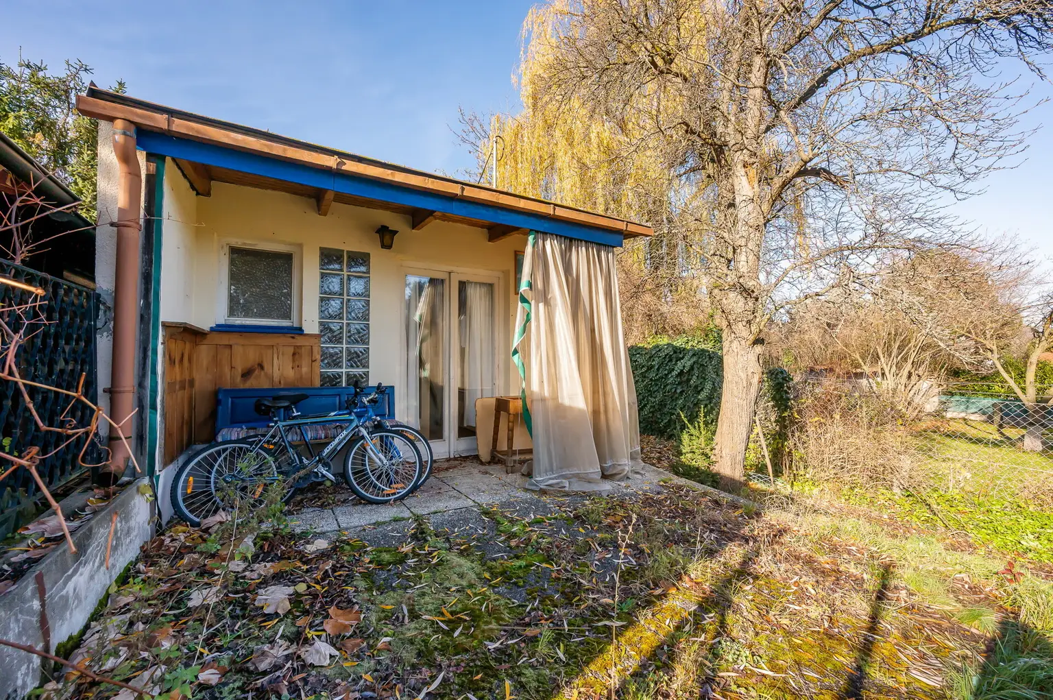 Altbestand im Grünland