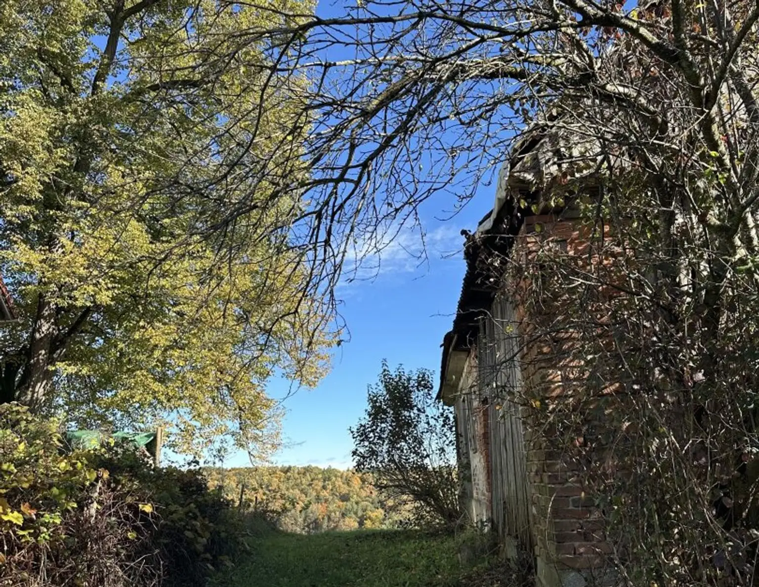 Aussichtslage - Wecken Sie das baufällige Kellerstöckl aus dem Dornröschen Schlaf! Liebevoll umgestalten oder ganz neu bauen