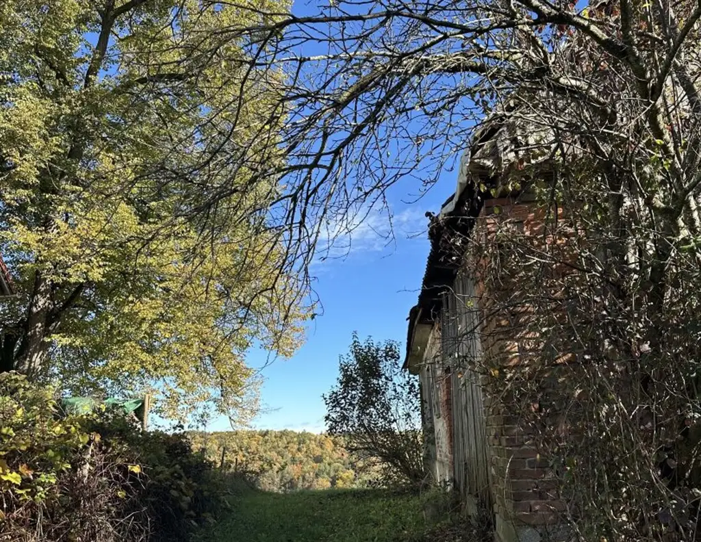 Aussichtslage - Wecken Sie das baufällige Kellerstöckl aus dem Dornröschen Schlaf! Liebevoll umgestalten oder ganz neu bauen