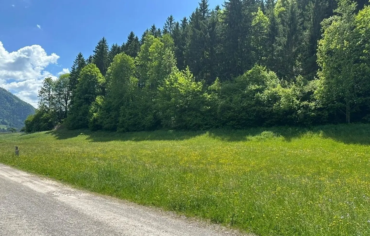 Bild3