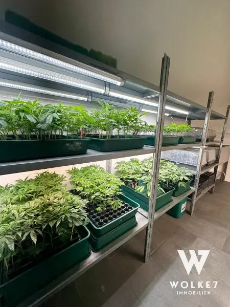 Geschäftslokal im 7. Bezirk – Erfolgreicher Head- & Growshop mit starker Eigenmarke zu vergeben