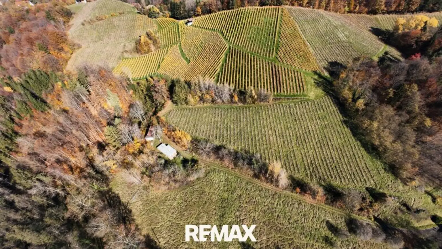 Gesamte Liegenschaft