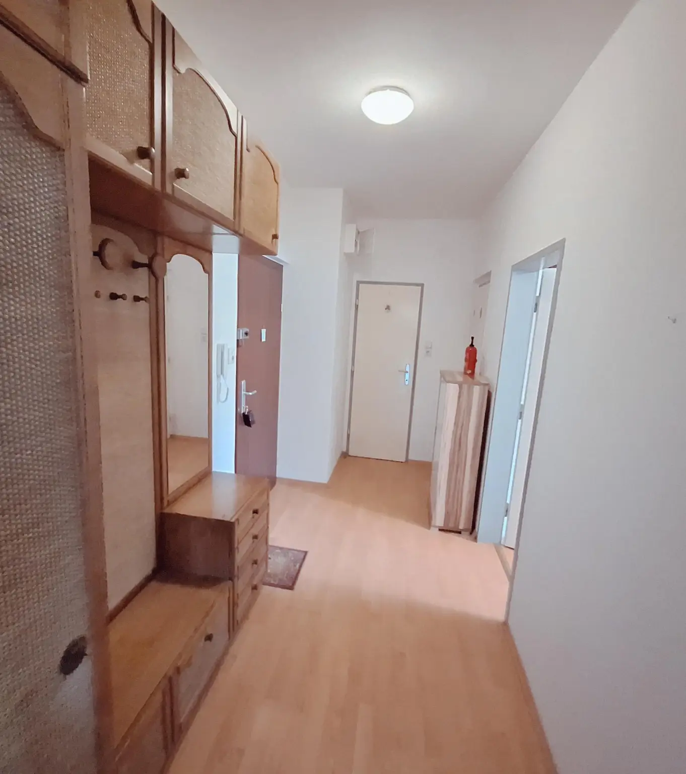 Mietwohnung in Traisen mit Lift