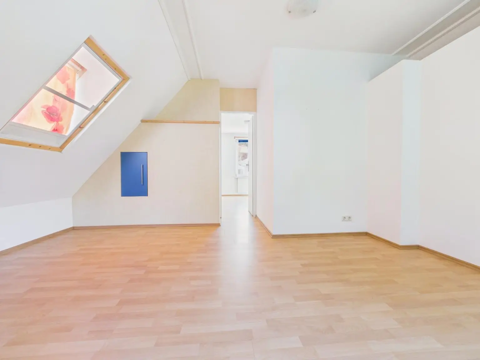 Zimmer DG