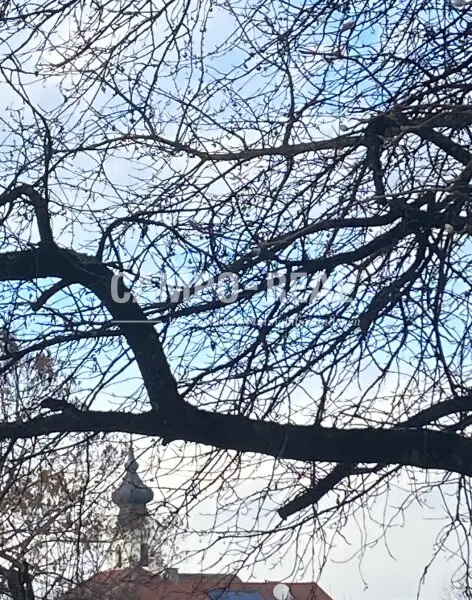 CAMPO-BIETERVERFAHREN-BAUERNHAUS: großes Nutzungspotenzial im Ortsmitte