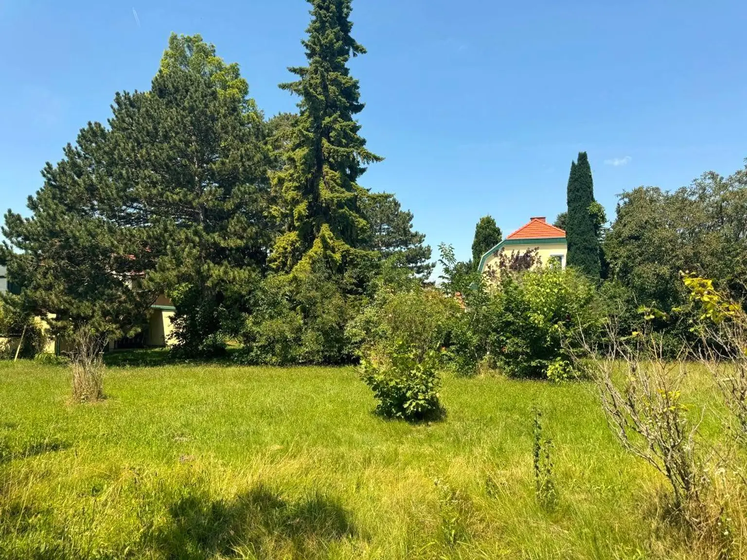 "2535m² großes Grundstück BK I & II"