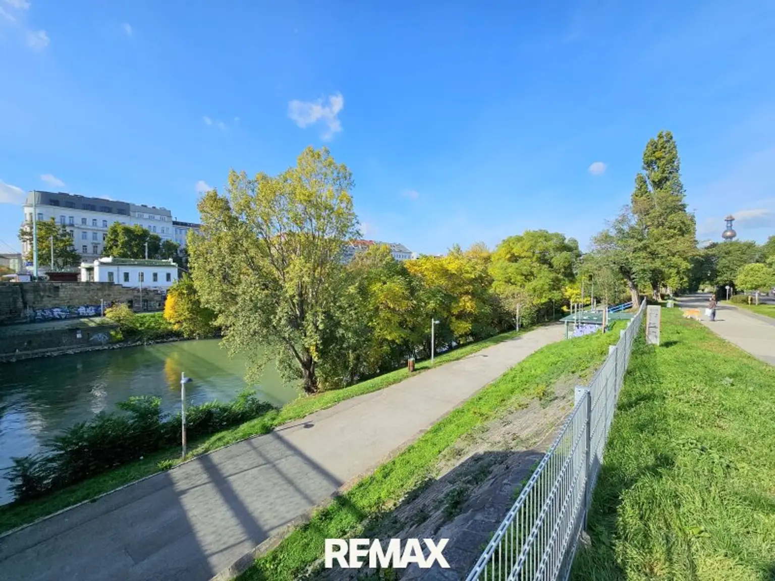 Natur in der City