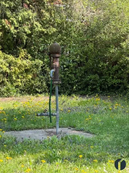 Naturrefugium an der Donau - Ihr Rückzugsort am linken Donauufer